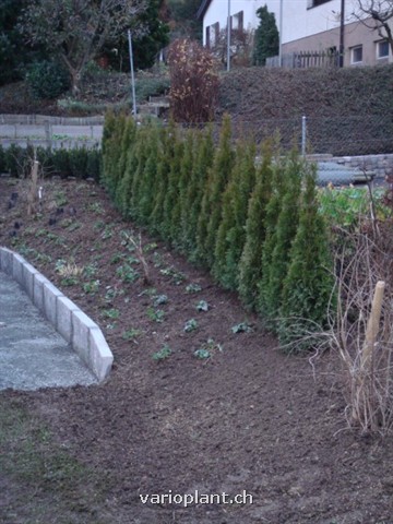Böschungsabschluss mit Stellplatte aus Granit